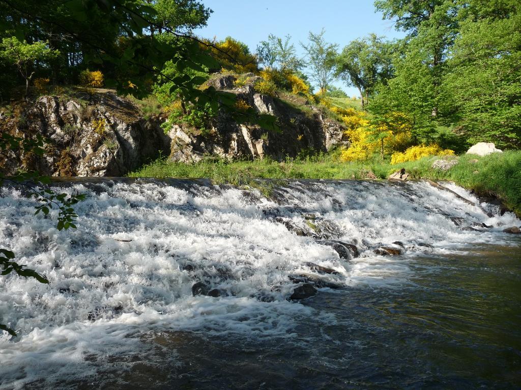 Le Moulin Berthon Bed and Breakfast Vernusse Buitenkant foto